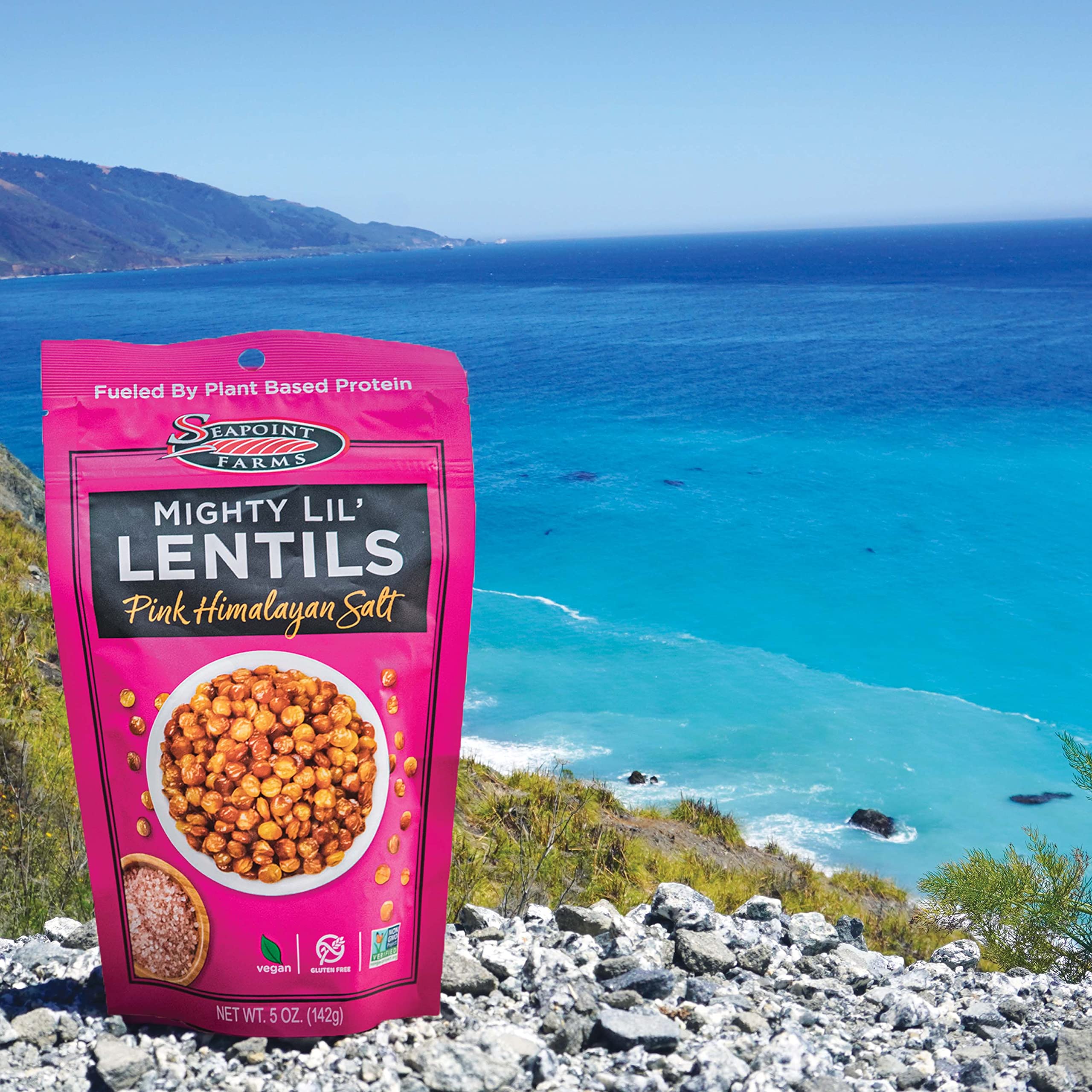 Amazon.com : Seapoint Farms Mighty Lil' Lentils, Savory, Plant